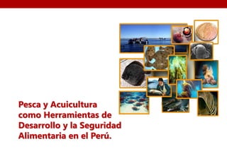 Pesca y Acuicultura 
como Herramientas de 
Desarrollo y la Seguridad 
Alimentaria en el Perú. 
 