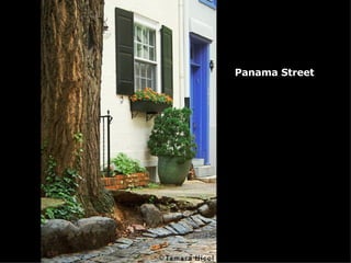 Panama Street  