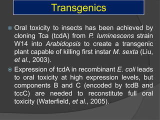 Transgenics
 Oral toxicity to insects has been achieved by
cloning Tca (tcdA) from P. luminescens strain
W14 into Arabidopsis to create a transgenic
plant capable of killing first instar M. sexta (Liu,
et al., 2003).
 Expression of tcdA in recombinant E. coli leads
to oral toxicity at high expression levels, but
components B and C (encoded by tcdB and
tccC) are needed to reconstitute full oral
toxicity (Waterfield, et al., 2005).
 