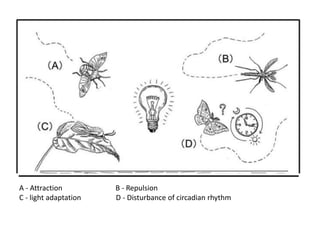 A - Attraction B - Repulsion
C - light adaptation D - Disturbance of circadian rhythm
 