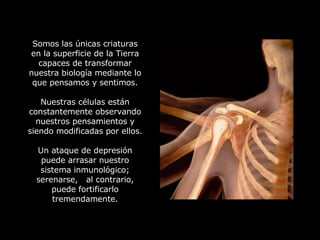 Pienso