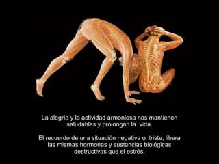 Pienso