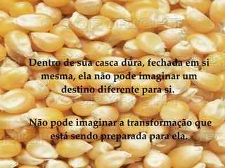 Dentro de sua casca dura, fechada em si mesma, ela não pode imaginar um destino diferente para si.  Não pode imaginar a transformação que está sendo preparada para ela. 