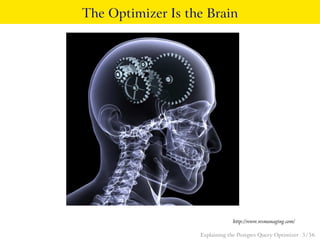 The Optimizer Is the Brain 
http://www.wsmanaging.com/ 
Explaining the Postgres Query Optimizer 5 / 56 
 