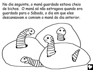 No dia seguinte, o maná guardado estava cheio
de bichos. O maná só não estragava quando era
guardado para o Sábado, o dia em que eles
descansavam e comiam o maná do dia anterior.
 