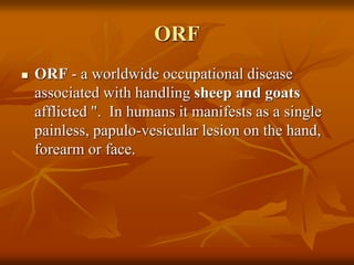 ORF
 ORF - a worldwide occupational disease
associated with handling sheep and goats
afflicted ". In humans it manifests as a single
painless, papulo-vesicular lesion on the hand,
forearm or face.
 