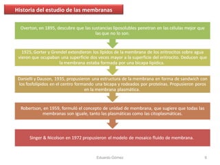 Historia del estudio de las membranas
Eduardo Gómez 6
 