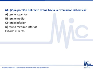 Academia Estudios M y C / Ciencias Básicas: Anatomía Humana / www.estudiosmyc.com
64. ¿Qué porción del recto drena hacia la circulación sistémica?
A) tercio superior
B) tercio medio
C) tercio inferior
D) tercio medio e inferior
E) todo el recto
 