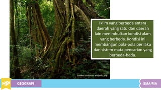 Sumber: commons.wikipedia.org
Iklim yang berbeda antara
daerah yang satu dan daerah
lain menimbulkan kondisi alam
yang berbeda. Kondisi ini
membangun pola-pola perilaku
dan sistem mata pencarian yang
berbeda-beda.
 