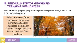 B. PENGARUH FAKTOR GEOGRAFIS
TERHADAP KEBUDAYAAN
Fitur-ﬁtur ﬁsik geograﬁ yang memengaruhi keragaman budaya antara lain
iklim dan bentang alam.
Iklim merupakan faktor
lingkungan utama yang
menentukan keadaan
lingkungan alam dalam
kaitannya dengan keadaan
lahan, tanah, air, ﬂora,
dan fauna.
Sumber: commons.wikipedia.org
 