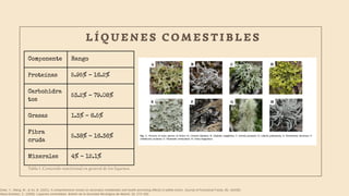Componente Rango
Proteínas 5.95% – 16.2%
Carbohidra
tos
53.2% – 79.08%
Grasas 1.3% – 6.5%
Fibra
cruda
5.38% – 16.36%
Minerales 4% – 12.1%
L Í Q U E N E S C O M E S T I B L E S
Tabla 1. Contenido nutricional en general de los líquenes.
Zhao, Y., Wang, M., & Xu, B. (2021). A comprehensive review on secondary metabolites and health-promoting effects of edible lichen. Journal of Functional Foods, 80, 104283.
Illana-Esteban, C. (2009). Líquenes comestibles. Boletín de la Sociedad Micológica de Madrid, 33, 273–282.
 