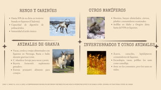 RENOS Y CARIBÚES
Hasta 50% de su dieta en invierno
basada en líquenes (Cladonia).
Capacidad de digestión de
polisacáridos.
Inmunidad al ácido úsnico.
INVERTEBRADOS Y OTROS ANIMALES
Ácaros, caracoles, lepidópteros:
consumidores de líquenes.
Escarabajos, ranas, polillas: los usan
como camuflaje.
Aves: no los consumen, pero los usan en
nidos.
OTROS MAMÍFEROS
Bisontes, bueyes almizclados, ciervos,
jabalíes: consumidores ocasionales.
Ardillas en Idaho y Oregón: dieta
hasta del 93% en líquenes.
ANIMALES DE GRANJA
Vacas, cerdos y ovejas alimentados con
líquenes en Noruega, Rusia e India
durante guerras/crisis.
C. islandica: forraje para vacas y ponis.
Bryoria fremontii: suplemento
ganadero.
Evernia prunastri: alimento para
conejos.
ZHAO, Y., WANG, M., & XU, B. (2021). A COMPREHENSIVE REVIEW ON SECONDARY METABOLITES AND HEALTH-PROMOTING EFFECTS OF EDIBLE LICHEN. JOURNAL OF FUNCTIONAL FOODS, 80, 104283.
 