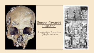 Usnea Cranii
Humani
Unguentum Armarium
(Hoplochrisma)
 