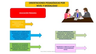 ORIENTACIONES PEDAGÓGICAS POR
NIVEL Y MODALIDAD
PROMUEVE ENTRE LOS
DOCENTES LA
ESPECIALIZACIÓN POR
CICLOS
DOCENTES USAN EL TIEMPO SEGÚN
NECESIDADES DE APRENDIZAJE DE
ESTUDIANTES. DESARROLLAR
COMPETENCIAS EN SITUACIONES
SIGNIFICATIVAS A TRAVÉS DE
UNIDADES DIDÁCTICAS.
EVALUAR APRENDIZAJES PARA
CONOCER NIVEL DE DESARROLLO DE
COMPETENCIAS , ESTABLECIENDO
CRITERIOS UTILIZANDO VARIADAS
TÉCNICAS E INSTRUMENTOS PARA
RECOGER INFORMACIÓN.
EDUCACIÓN PRIMARIA
ORGANIZAR A LOS ESTUDIANTES
SEGÚN NIVELES DE DESEMPEÑO
ORGANIZÁNDOLOS EN GRUPOS
EQUILIBRADOS PARA INTERACTUAR Y
APRENDER COLEGIADAMENTE.
PROMOVER EL HÁBITO DE LECTURA
PRESTANDO E INTERCAMBIANDO
TEXTOS
MAG.NATALY MORÁN ARAUJO
 