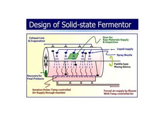 FERMENTATION TYPES .