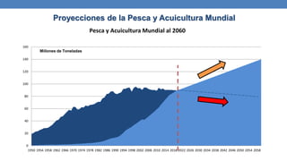 Proyecciones de la Pesca y Acuicultura Mundial
0
20
40
60
80
100
120
140
160
1950 1954 1958 1962 1966 1970 1974 1978 1982 1986 1990 1994 1998 2002 2006 2010 2014 2018 2022 2026 2030 2034 2038 2042 2046 2050 2054 2058
Pesca y Acuicultura Mundial al 2060
Millones de Toneladas
 