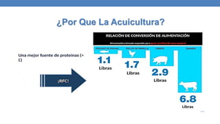 ¿Por Que La Acuicultura?
 