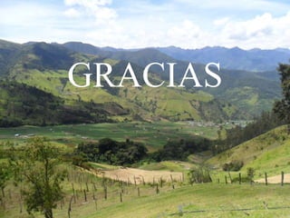 GRACIAS
 