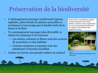 Préservation de la biodiversité L’aménagement paysager traditionnel (gazon, asphalte, plate-bande de plantes annuelles et exotiques) n’encourage pas la biodiversité de la faune et la flore Un aménagement paysager plus diversifié va attirer les animaux et les insectes Les arbres, arbustes et fleurs sont des sources de nourriture et des habitats Certains animaux et insectes sont des prédateurs d’insectes nuisibles Laisser au moins une grande surface au naturel Source: http://www.amenagementsecologiques.com/plan.html Biodiversité: l'ensemble des espèces vivantes présentes sur la Terre (plantes, animaux, micro-organismes, etc.), les communautés formées par ces espèces et les habitats dans lesquels ils vivent.  