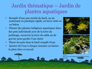 Jardin thématique – Jardin de plantes aquatiques Remplir d’eau une moitié de baril, ou un contenant en plastique rigide, en terre cuite ou  en béton Planter des plantes indigènes aquatiques dans  des pots individuels avec de la terre de  jardinage, recouvrir la terre de sable ou de  gravier pour garder l’eau claire Placer les pots dans le baril remplit d’eau Ajouter de l’eau à chaque semaine ou laisser  la pluie faire ce travail Source: http://www.amenagementsecologiques.com/plan.html 