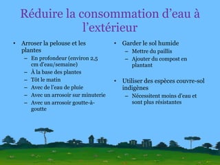 Réduire la consommation d’eau à l’extérieur Arroser la pelouse et les plantes En profondeur (environ 2,5 cm d’eau/semaine) À la base des plantes Tôt le matin Avec de l’eau de pluie Avec un arrosoir sur minuterie Avec un arrosoir goutte-à-goutte Garder le sol humide Mettre du paillis Ajouter du compost en plantant Utiliser des espèces couvre-sol indigènes Nécessitent moins d’eau et sont plus résistantes 