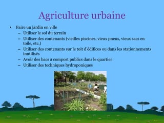 Agriculture urbaine Faire un jardin en ville Utiliser le sol du terrain Utiliser des contenants (vieilles piscines, vieux pneus, vieux sacs en toile, etc.) Utiliser des contenants sur le toit d’édifices ou dans les stationnements inutilisés Avoir des bacs à compost publics dans le quartier Utiliser des techniques hydroponiques 