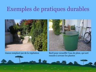 Exemples de pratiques durables Baril pour recueillir l’eau de pluie, qui sert ensuite à arroser les plantes Gazon remplacé par de la végétation 