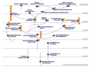 Prehistory.ppt