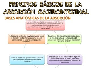 La cantidad total de líquido que se absorbe cada día en el
intestino es igual a la del líquido ingerido (alrededor de 1,5 L)
más el contenido en las distintas secreciones
gastrointestinales (alrededor de 7 L), lo que representa un
total de 8 a 9 L
Salvo 1,5 L, el resto del líquido se absorbe en
el intestino delgado y sólo quedan 1,5 L
diarios que atraviesan la válvula ileocecal en
dirección al colon.
El estómago es una zona del tubo digestivo
donde la absorción es escasa, ya que no
dispone de la típica membrana absortiva de
tipo velloso
además, las células epiteliales de su mucosa
se adhieren entre sí mediante uniones
estrechas
Sólo algunas sustancias muy liposolubles, como
el alcohol, y ciertos fármacos, como el ácido
acetilsalicílico, se absorben en pequeñas
cantidades.
 