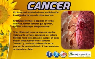 El cáncer es el resultado de una multiplicación
incontrolable de una sola célula anormal.
La células enfermas, al copiarse en forma
continua, forman tumores que oprimen,
invaden o destruyen el tejido normal.
Si las células del tumor se separan, pueden
viajar por la corriente sanguínea o el sistema
linfático hacia otras zonas del cuerpo. En estos
nuevos sitios pueden formar tumores
"colonia" y continuar su desarrollo en un
proceso llamado metástasis. Si la extensión no
se controla, es fatal.
 