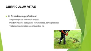 CURRÍCULUM VITAE
 6. Experiencia profesional:
Según el tipo de currículum elegido.
Pueden incluirse trabajos no remunerados, como prácticas
Trabajos relacionados con el puesto o no.
 