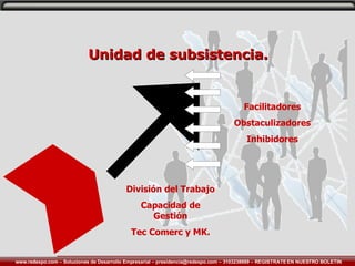 Unidad de subsistencia. División del Trabajo Capacidad de Gestión Tec Comerc y MK. Facilitadores Obstaculizadores Inhibidores 