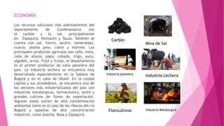 ECONOMÍA
Los recursos naturales más sobresalientes del
departamento de Cundinamarca son
el carbón y la sal, principalmente
en Zipaquirá, Nemocón y Tausa. También se
cuenta con cal, hierro, azufre, esmeraldas,
cuarzo, plomo yeso, cobre y mármol. Los
principales productos agrícolas son café, maíz,
caña de azúcar, papa, cebada, trigo, yuca,
algodón, arroz, frijol y frutas, el departamento
es el primer productor de caña panelera del
país. La industria lechera se encuentra muy
desarrollada especialmente en la Sabana de
Bogotá y en el valle de Ubaté. En la ciudad
capital y sus alrededores, se encuentra uno de
los sectores más industrializados del país con
industrias metalúrgicas, farmacéutica, textil y
grandes cultivos de flores de exportación.
Algunas zonas sufren de alta contaminación
ambiental como es el caso de las riberas del río
Bogotá y aquellas de alta concentración
industrial, como Soacha, Bosa y Zipaquirá.
Carbón
Mina de Sal
Industria panelera
Industria Lechera
Floricultivos Industria Metalúrgica
 