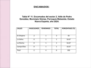CALLES MASCULINOS FEMENINOS TOTAL PORCENTAJES (%)
El Chispero 2 1 3 50
La Salina 0 1 1 16.67
La Marina 0 1 1 16.67
Campo Elías 0 1 1 16.67
Total 2 4 6 100
Tabla N° 11. Encamados del sector 2, Valle de Pedro
González, Municipio Gómez, Parroquia Matasiete, Estado
Nueva Esparta, año 2024.
ENCAMADOS:
 