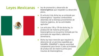 Leyes Mexicanas  ley de promoción y desarrollo de
bioenergéticas que respalden su desarrollo
pleno.
 El artículo II de dicha ley se entiende por
bioenergético “aquellos combustibles
obtenidos de la biomasa provenientes de
materia orgánica, de las actividades
agrícolas”
 Los artículos 178 y 179 de dicha ley, la
producción de materia prima para
bioenergéticos se encuentra limitada por los
principios de seguridad y soberanía
alimentaria.
 Dicha ley hace mención que requiere la
obtención de un permiso expedido por
SAGARPA, SEMARNAT o alguna autoridad
competente para llevar a cabo actividades
de producción de materia prima para
insumos de bioenergéticos
 