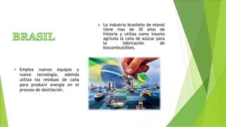  La industria brasileña de etanol
tiene mas de 30 años de
historia y utiliza como insumo
agrícola la caña de azúcar para
la fabricación de
biocombustibles.
• Emplea nuevos equipos y
nueva tecnología, además
utiliza los residuos de caña
para producir energía en el
proceso de destilación.
 