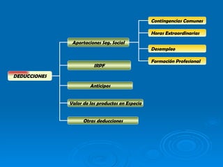 DEDUCCIONES IRPF Anticipos Aportaciones Seg. Social Valor de los productos en Especie Otras deducciones Contingencias Comunes Horas Extraordinarias Desempleo Formación Profesional 