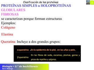 Biología • 2.º de bachillerato
Saro Hidalgo
33Clasificación de las proteínas
PROTEÍNAS SIMPLES u HOLOPROTEÍNAS
GLOBULARES
FIBROSAS
se caracterizan porque forman estructuras
Ejemplos:
Colágeno
Elastina
Queratina Incluye a dos grandes grupos:
 