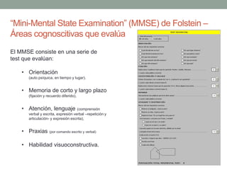 “Mini-Mental State Examination” (MMSE) de Folstein –
Áreas cognoscitivas que evalúa
El MMSE consiste en una serie de
test que evalúan:
• Orientación
(auto psíquica, en tiempo y lugar),
• Memoria de corto y largo plazo
(fijación y recuerdo diferido),
• Atención, lenguaje (comprensión
verbal y escrita, expresión verbal –repetición y
articulación- y expresión escrita),
• Praxias (por comando escrito y verbal)
• Habilidad visuoconstructiva.
 