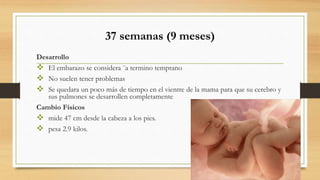 37 semanas (9 meses)
Desarrollo
 El embarazo se considera ¨a termino temprano
 No suelen tener problemas
 Se quedara un poco más de tiempo en el vientre de la mama para que su cerebro y
sus pulmones se desarrollen completamente
Cambio Físicos
 mide 47 cm desde la cabeza a los pies.
 pesa 2.9 kilos.
 