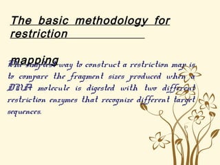 The basic methodology for
restriction
mappingThe simplest way to construct a restriction map is
to compare the fragment sizes produced when a
DNA molecule is digested with two different
restriction enzymes that recognize different target
sequences.
 
