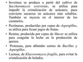• Invertasa se produce a partir del cultivo de
Saccharomyces cerevisiae, se utiliza para
impedir la cristalización de azúcares, pues
convierte sacarosa en azúcares más solubles.
También se inyecta en el interior de los
caramelos.
• Pectinasas, producidas por cepas de Aspergillus,
se utiliza para licuar jugos de frutas.
• Renina, producida por cepas de Mucor se utiliza
para coagular la leche en la producción de
quesos.
• Proteasas, para ablandar carnes de Bacillus y
Aspergillus.
• Lactasa, de Kluyveromyces fragilis, para evitar la
cristalización de helados.
 