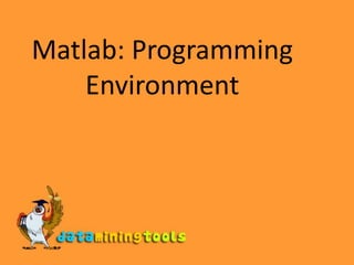 Matlab: Programming Environment