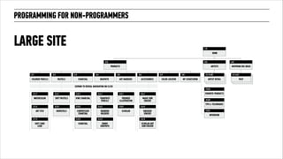 PROGRAMMING FOR NON-PROGRAMMERS 
LARGE SITE 
 