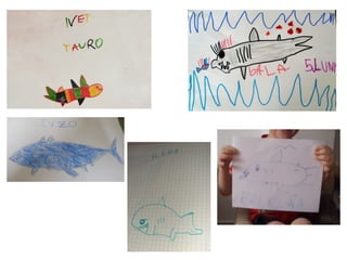 PROJECTE TAURÓ