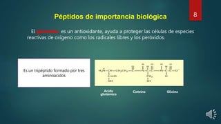El glutatión, es un antioxidante, ayuda a proteger las células de especies
reactivas de oxígeno como los radicales libres y los peróxidos.
8
Glicina
Es un tripéptido formado por tres
aminoácidos
Péptidos de importancia biológica
Acido
glutámico
Cisteína
 