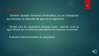 Vasopresina
También llamada hormona antidiurética, es un polipéptido
que favorece la retención de agua en el organismo.
Niveles altos de vasopresina provocan mayor retención renal de
agua, elimina solo la suficiente para eliminar los productos de desecho.
El alcohol inhibe la formación de vasopresina.
9
 