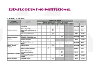 EJEMPLO DE UN PMG-INSTITUCIONAL 