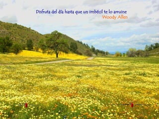 Disfruta del día hasta que un imbécil te lo arruine .  Woody Allen   