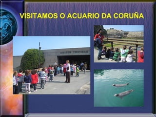 VISITAMOS O ACUARIO DA CORUÑA 